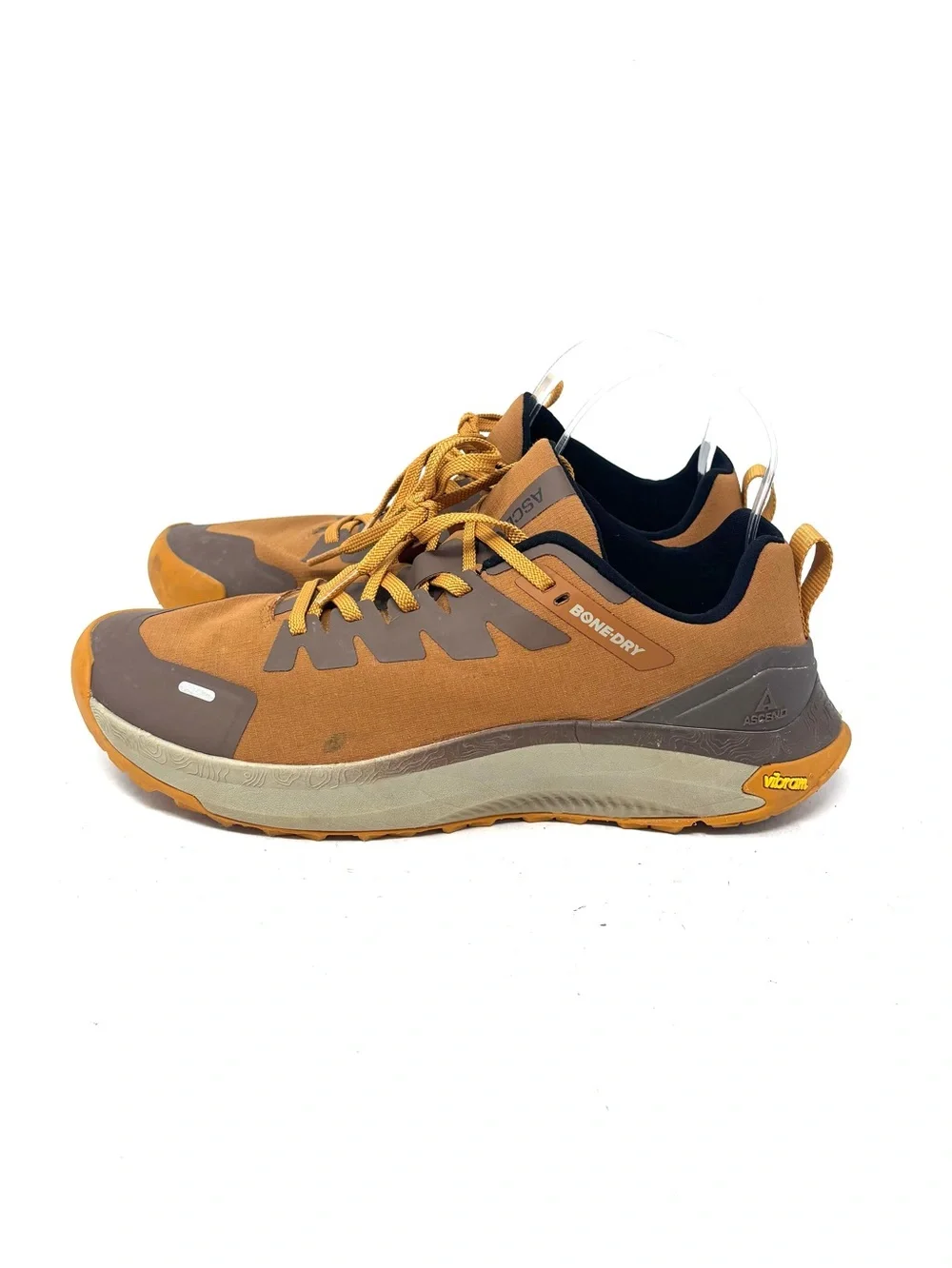 Ascend Sneakers